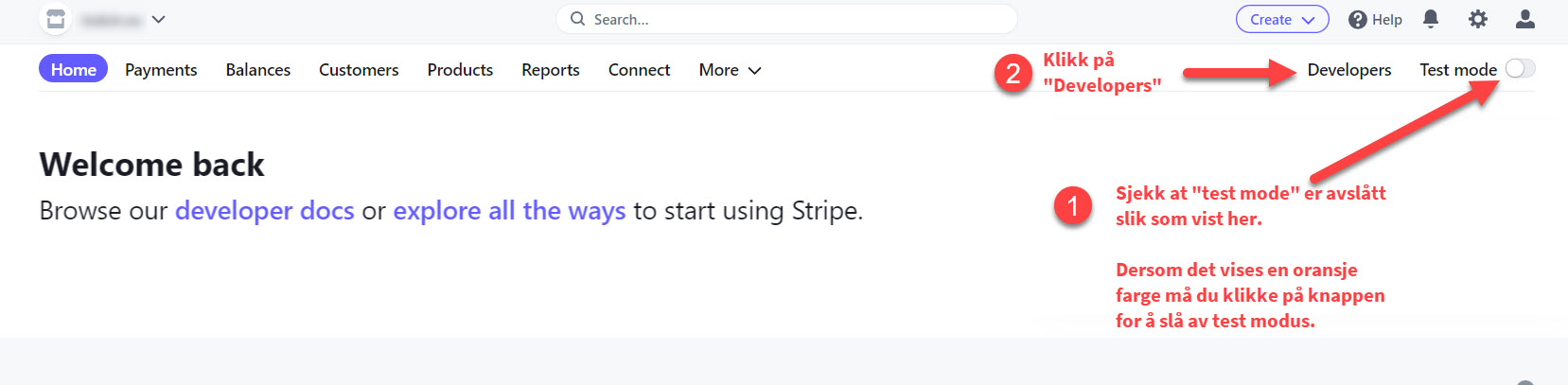 Stripe oppsett ny 1.jpg