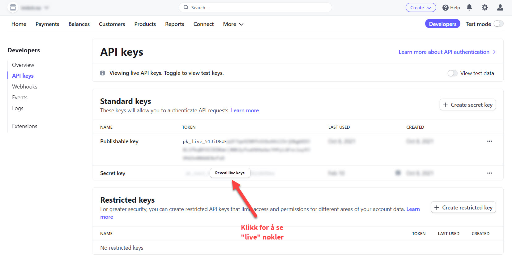 Stripe oppsett ny 2.jpg